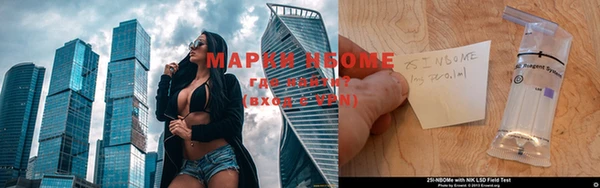 прущие грибы Красноперекопск