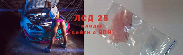 прущие грибы Красноперекопск