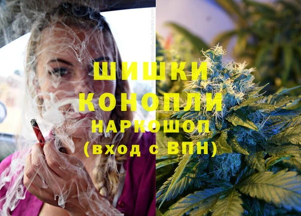прущие грибы Красноперекопск