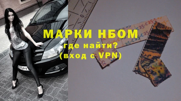 хмурый Краснослободск
