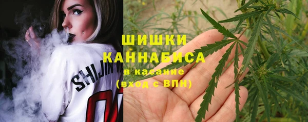 PSILOCYBIN Балахна