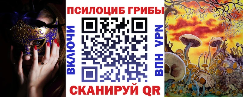 мега зеркало Нестеров Псилоцибиновые грибы GOLDEN TEACHER
